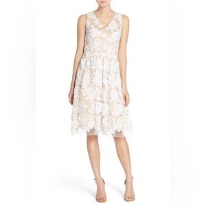 Eliza J Embroidered Mesh Fit & Flare Dress | 12 NWT